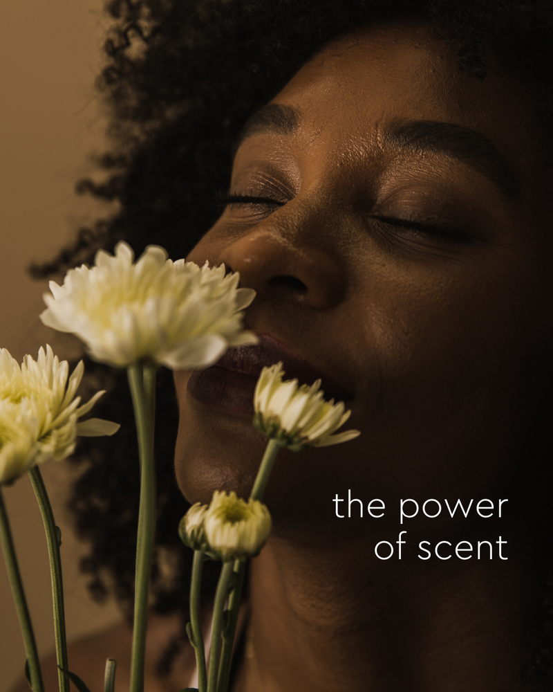 Ontdek de kracht van geur