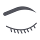 eyelids - browbone