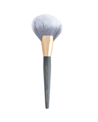 big fan brush 10