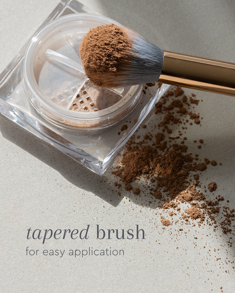 precise blush brush 11