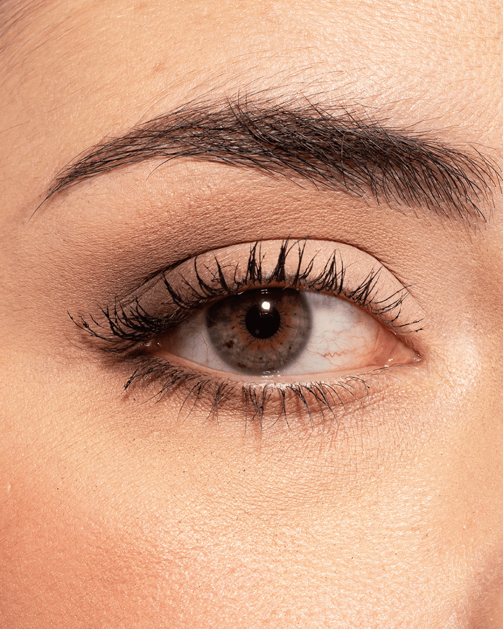 refill compact eyeshadow ‘Spread the sparkle’